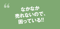 なかなか売れないので、困っている！！